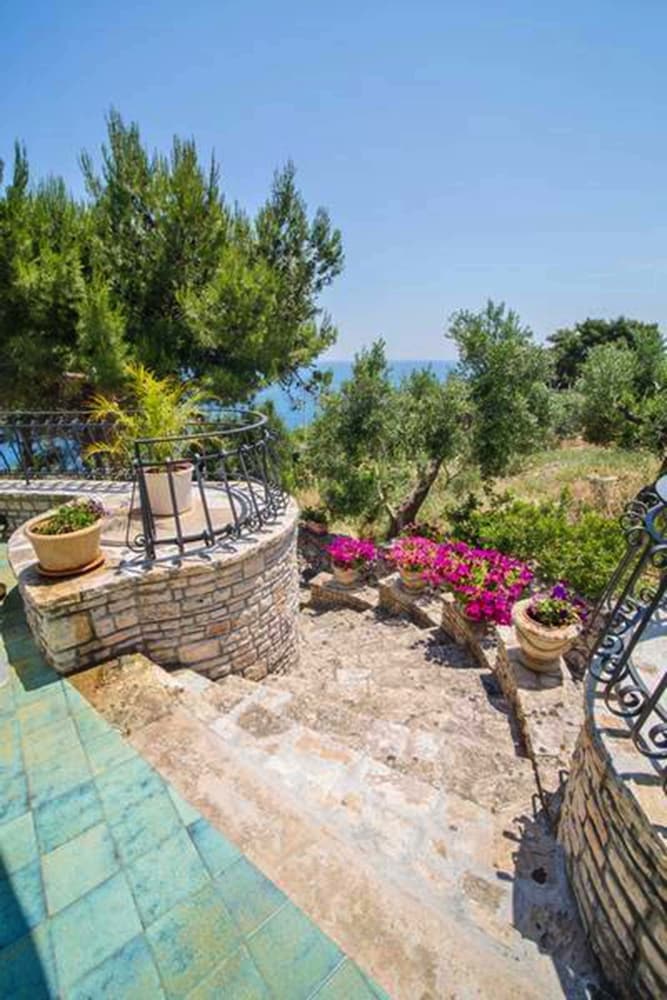 Фото Villa Scarnera