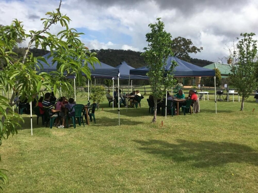 Фото Ascella Organic Wine