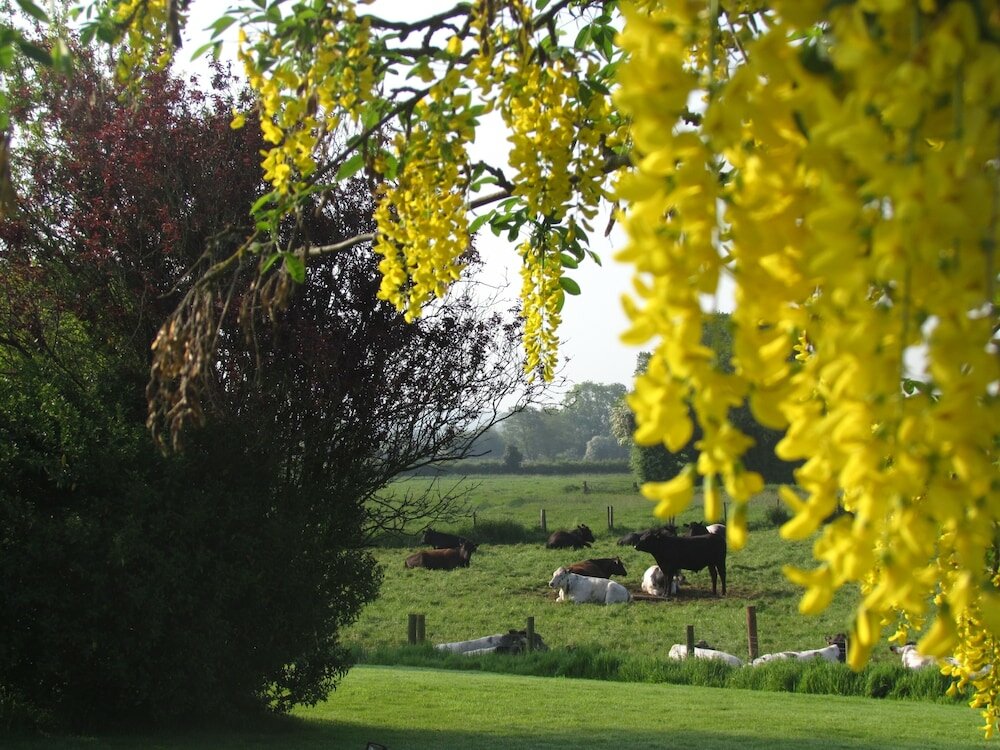 Фото The Moorhead Bed & Breakfast