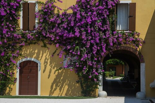 Внешний вид отеля Agriturismo La Filanda в Манерба-дель-Гарде, фото 5