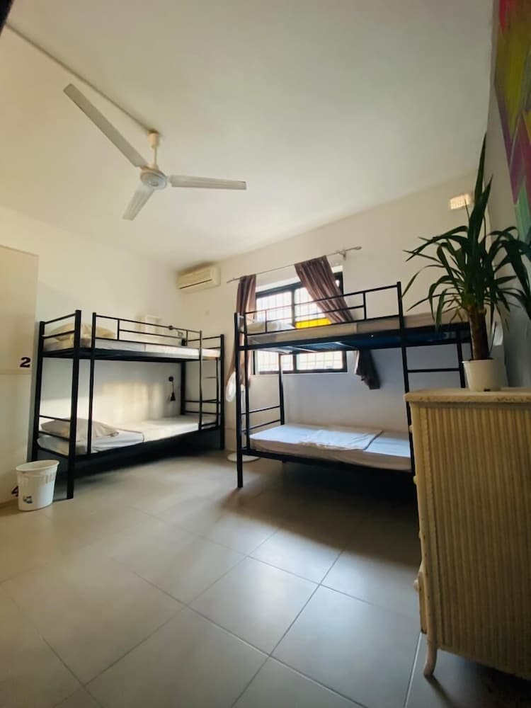 Фото The Paceville International House