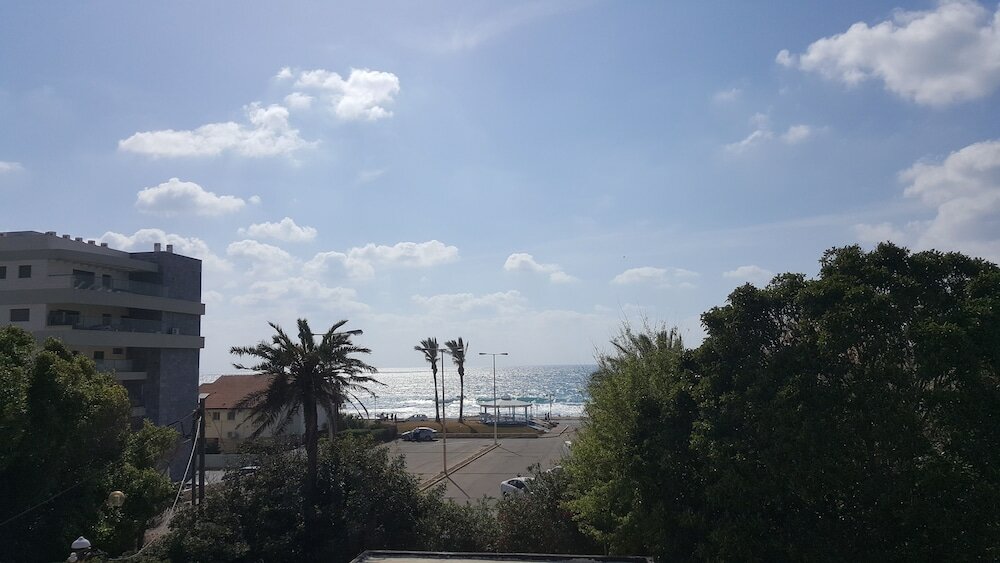 Фото Palm on the Beach