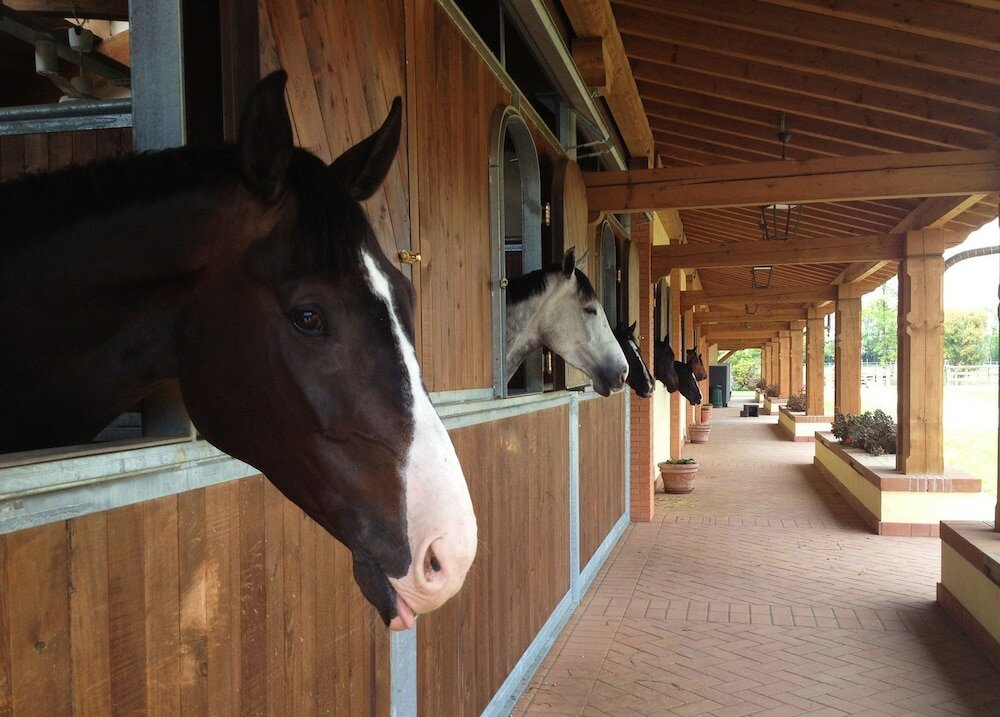 Фото Agriturismo Il Boschetto