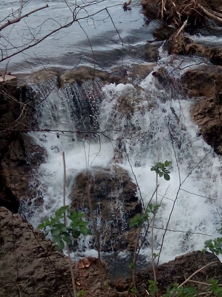 Фото Posada La Cotía