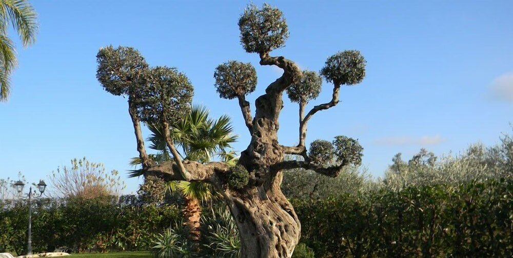 Фото Villa Tonia