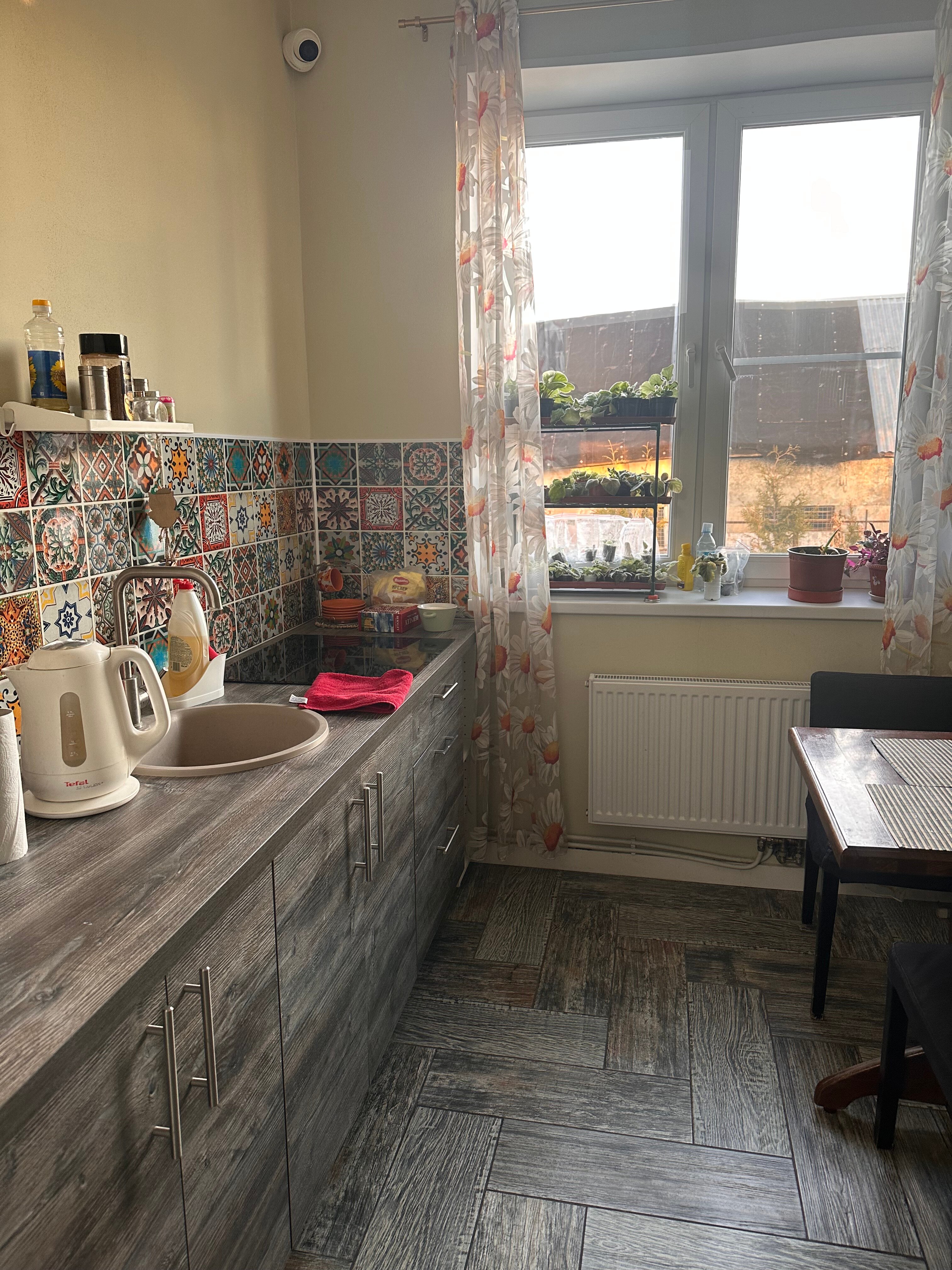 Фото Сова в Шереметьево