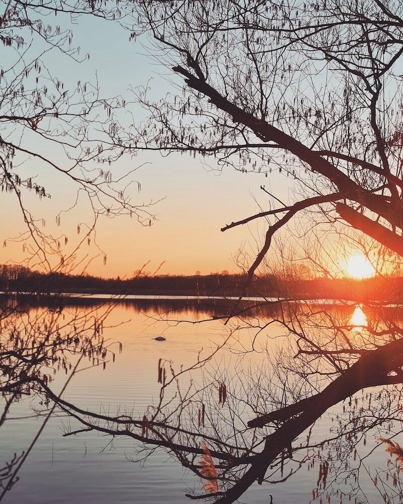 Фото Hotel Nordischer Hof