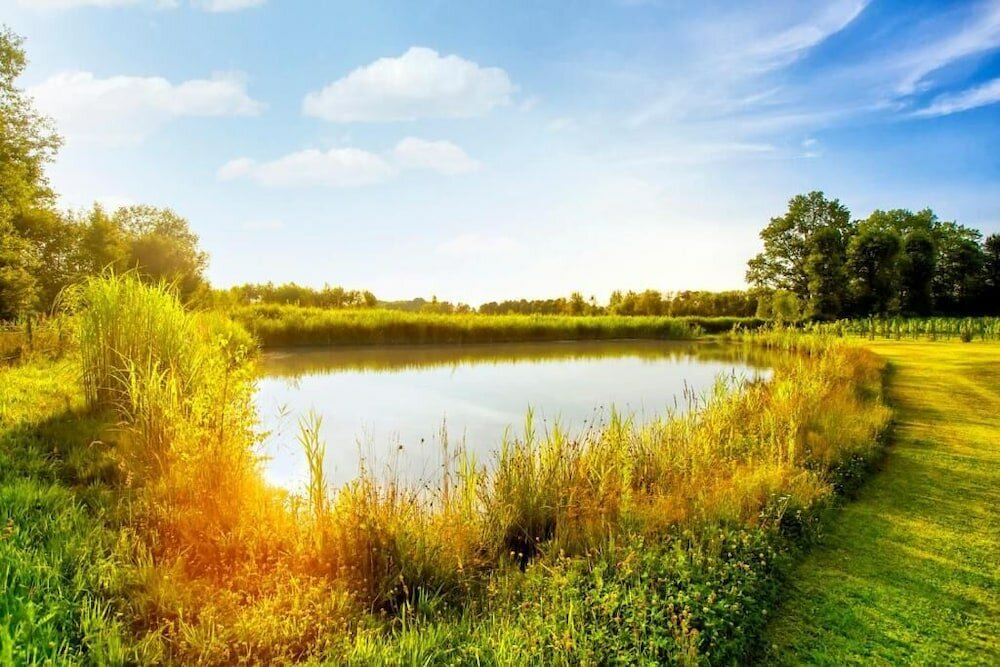 Фото Pałac Wiechlice