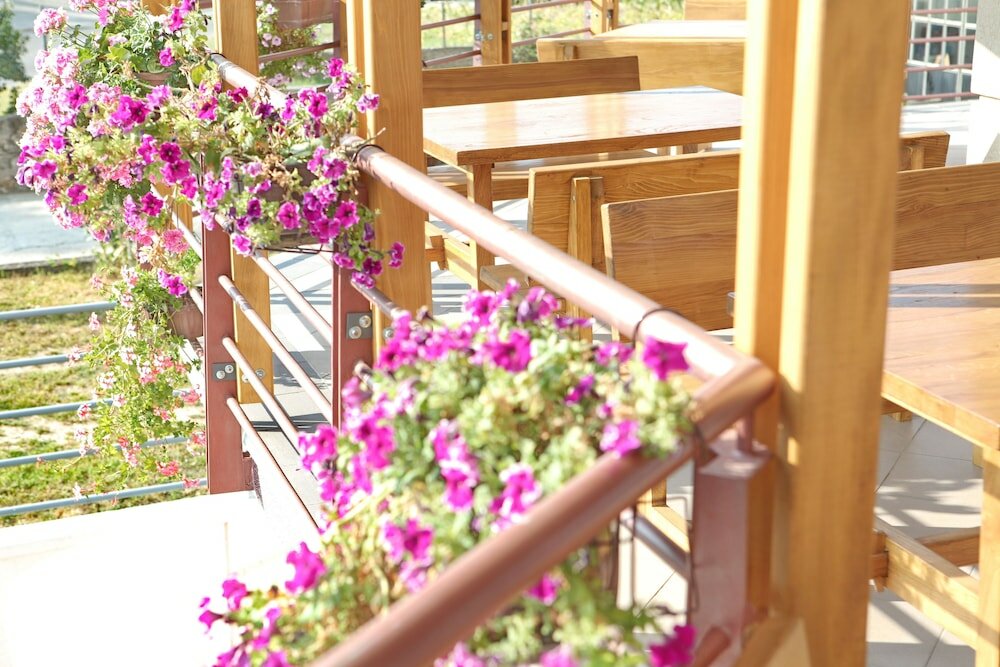 Фото Hotel Novella Uno