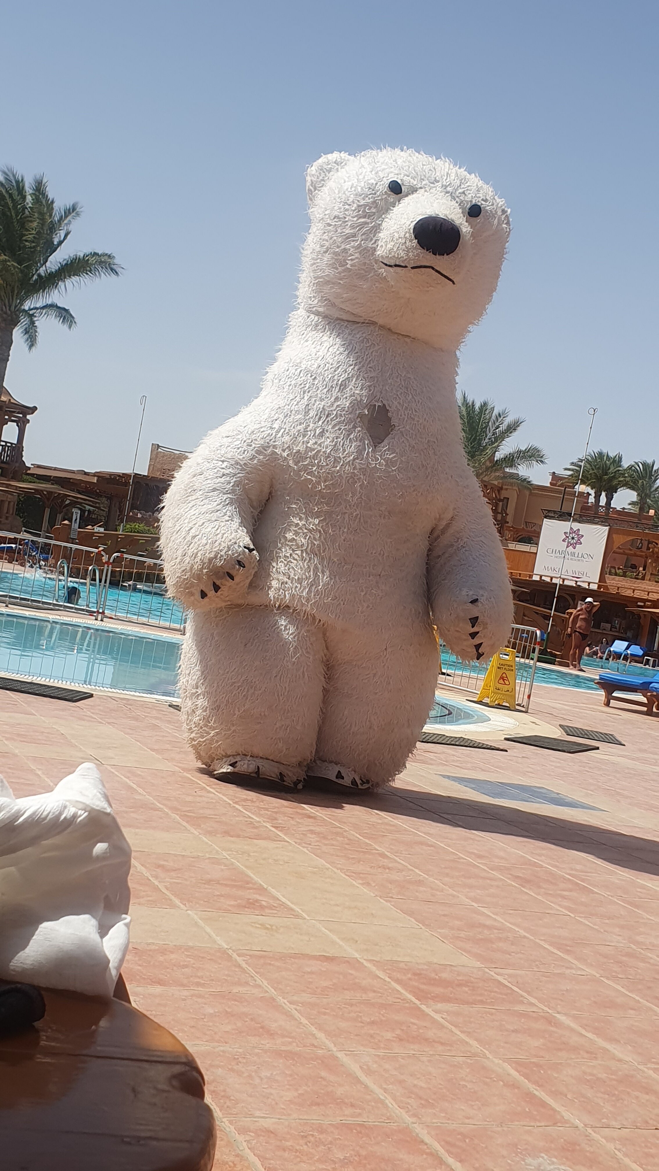 Фото Charmillion Club Resort