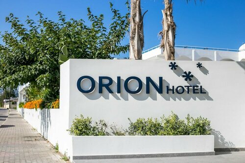 Гостиница Orion