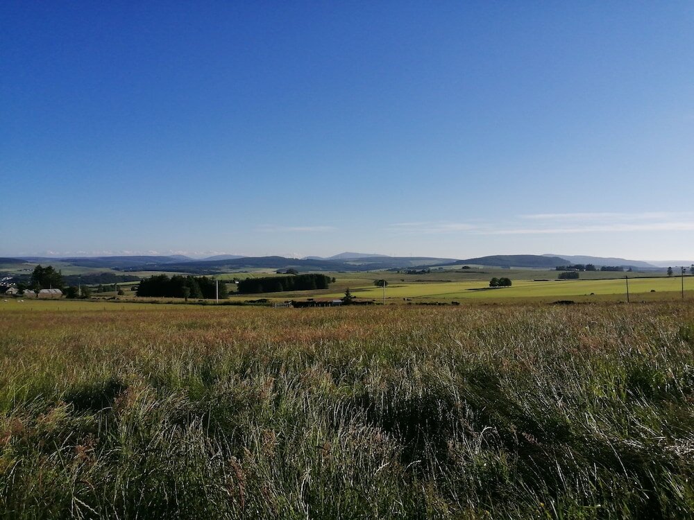 Фото 84284077442