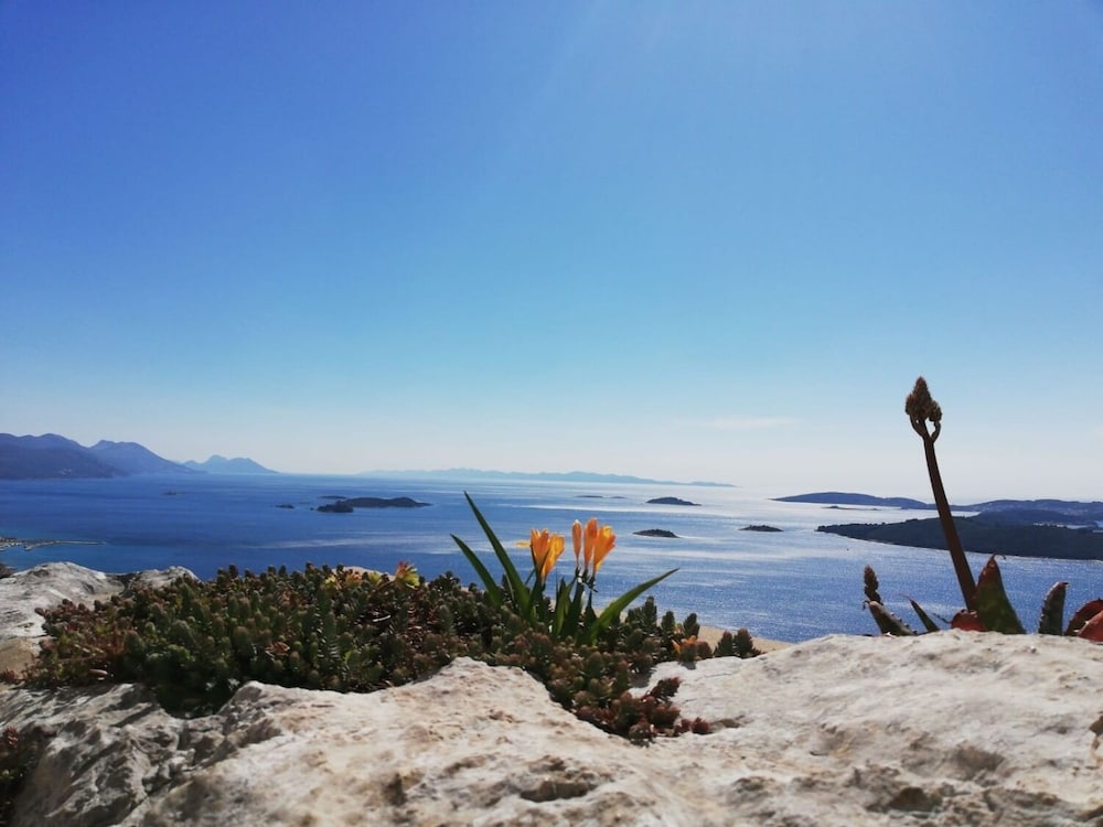 Фото Vida With Garden - A1 - Naranča