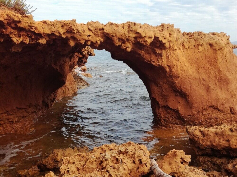 Фото Seagull - H