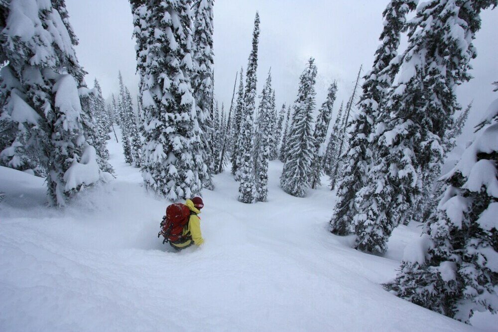 Фото Snowy Mountain Lodge