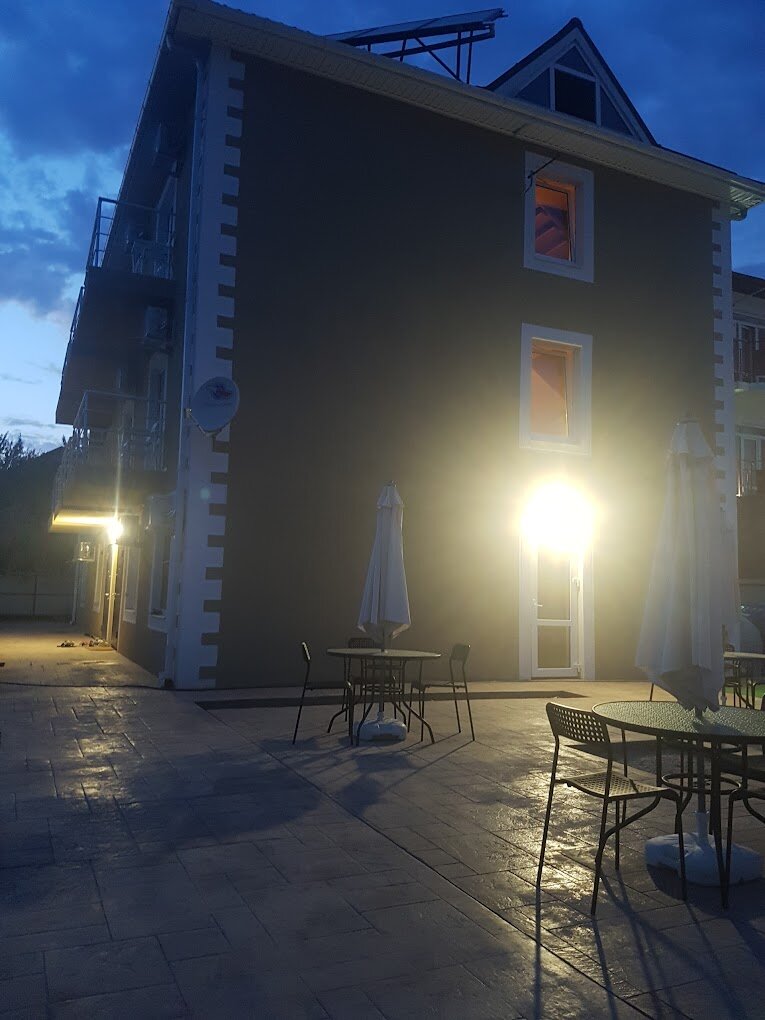 Фото Солнечная орхидея