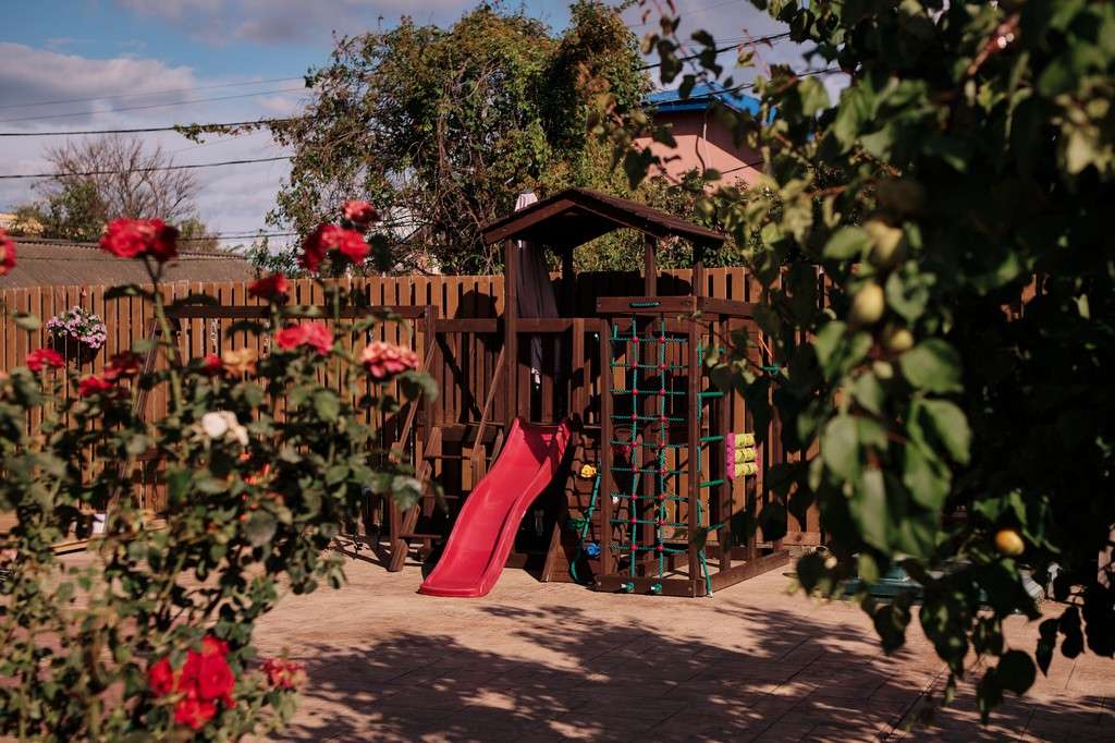 Фото Солнечная орхидея