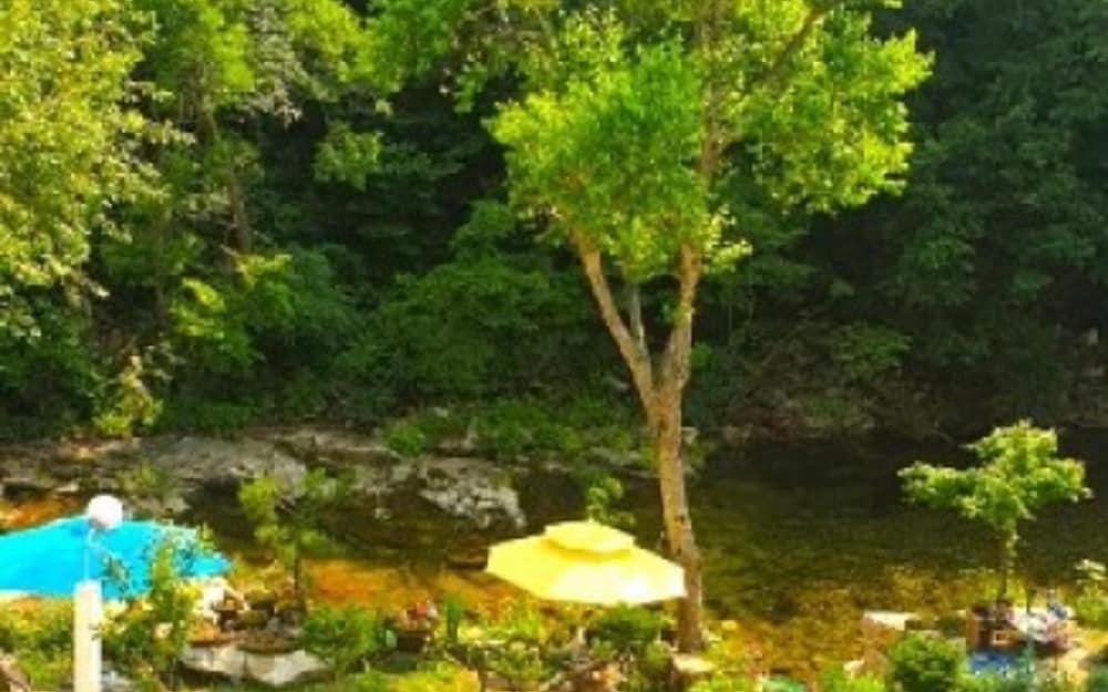 Фото Jeongseon Daon Pension