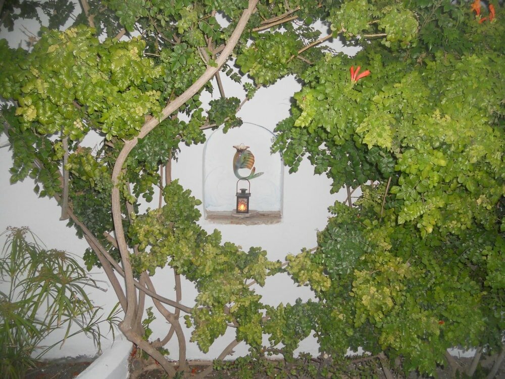 Фото Villa Ostria