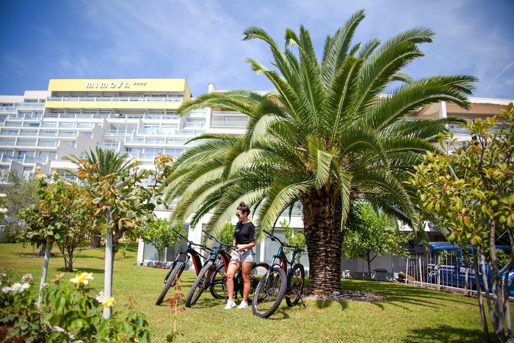 Фото Hotel Hedera