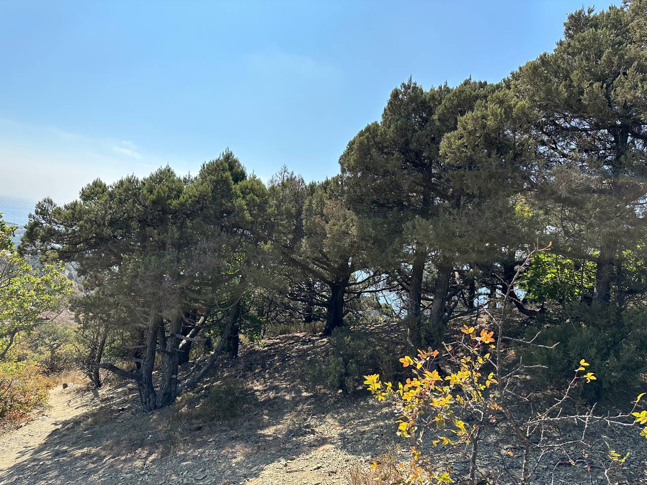 Фото Вилла Морская