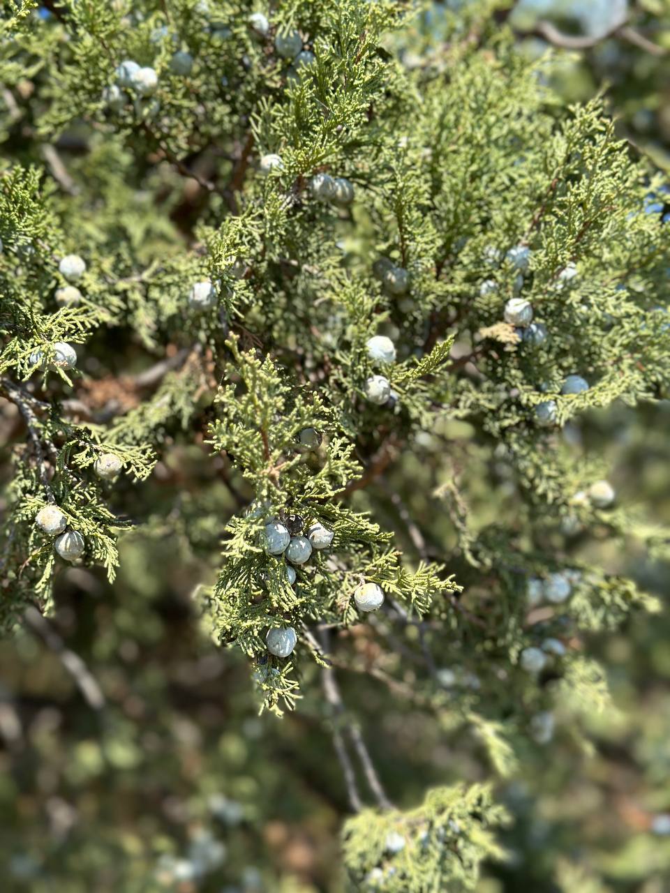 Фото Вилла Морская