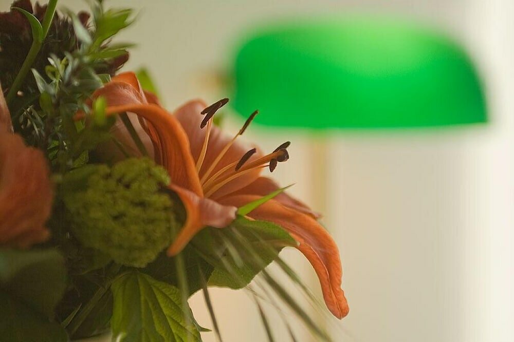 Фото Ringhotel Zum Goldenen Ochsen