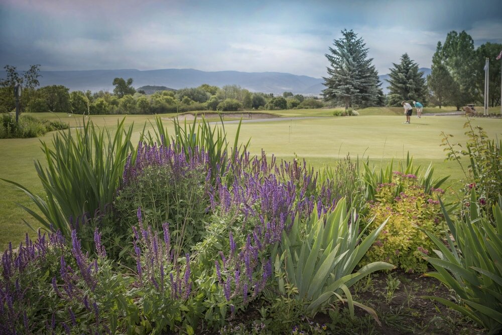 Фото Homestead Resort