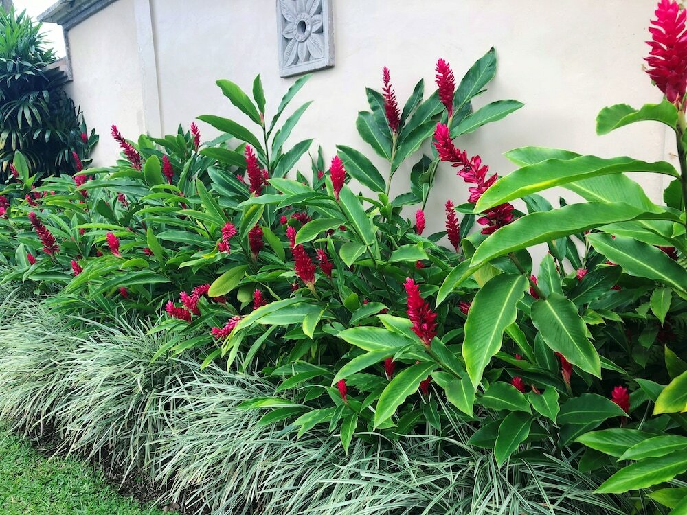 Фото Villa Semana Resort & SPA