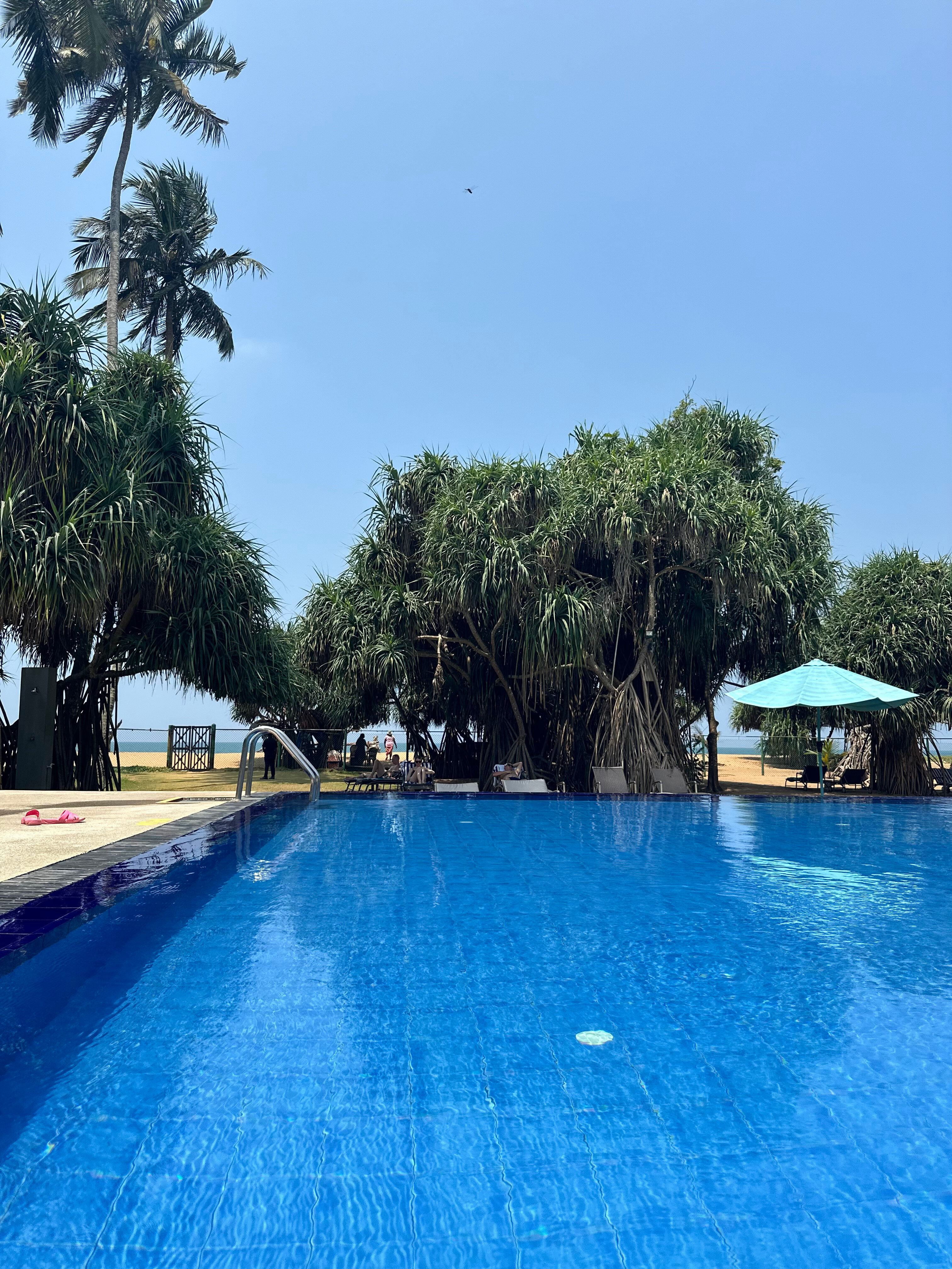 Фото Coco Royal Beach Resort - Waskaduwa