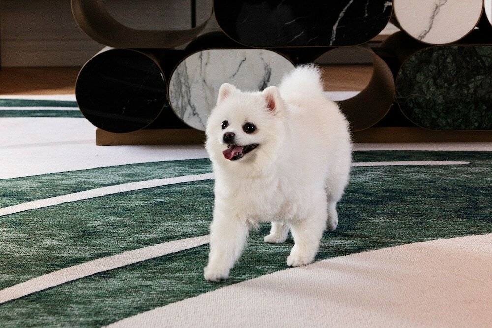 Фото Paris Marriott Opera Ambassador Hotel