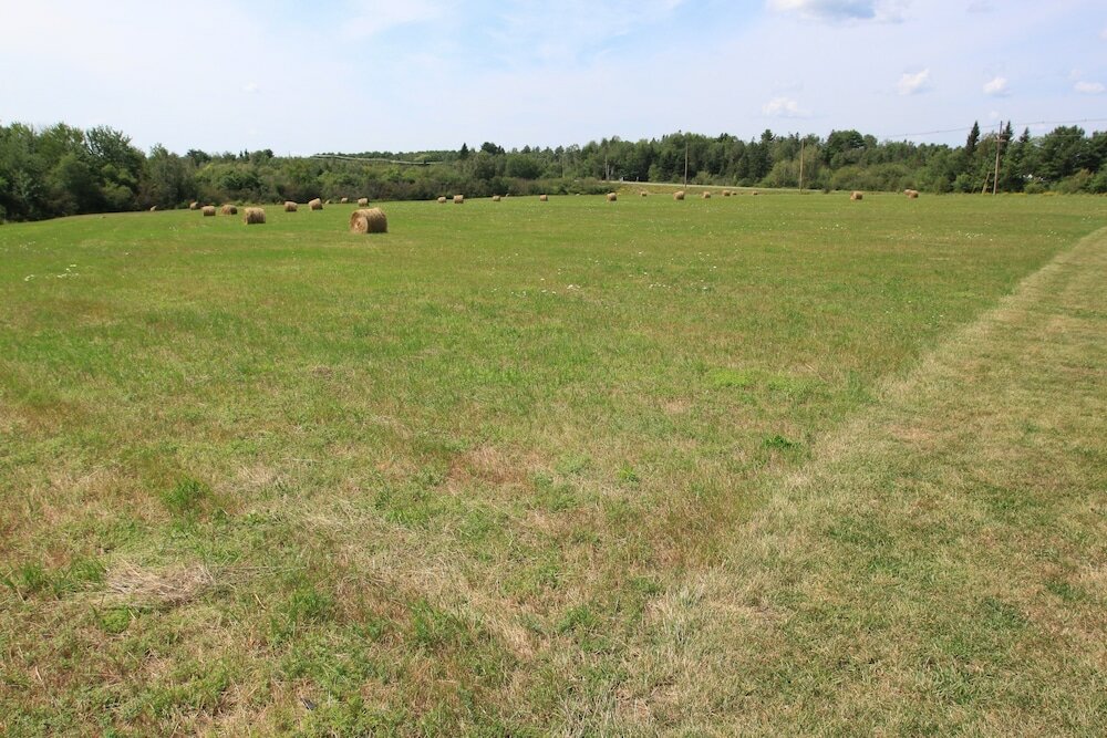 Фото Best Western White House Inn