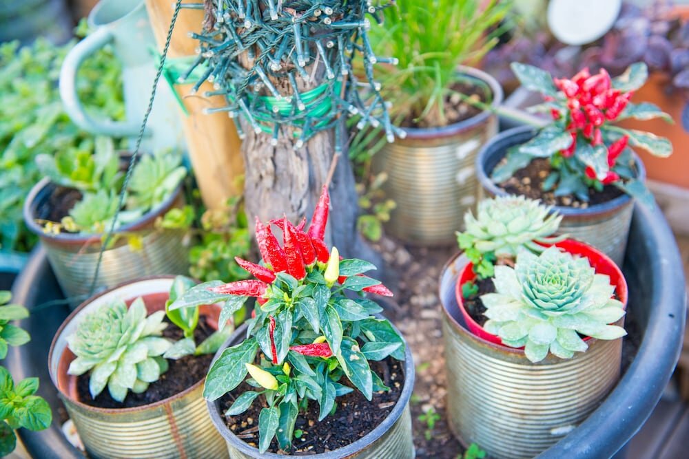 Фото Admiral Art Hotel