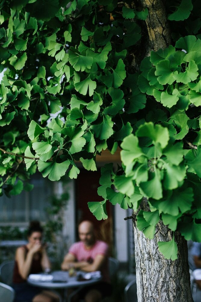 Фото Modern Hotel