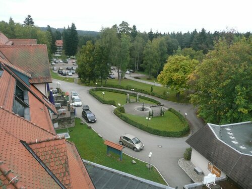 Гостиница Schwarzwald Park Hotel