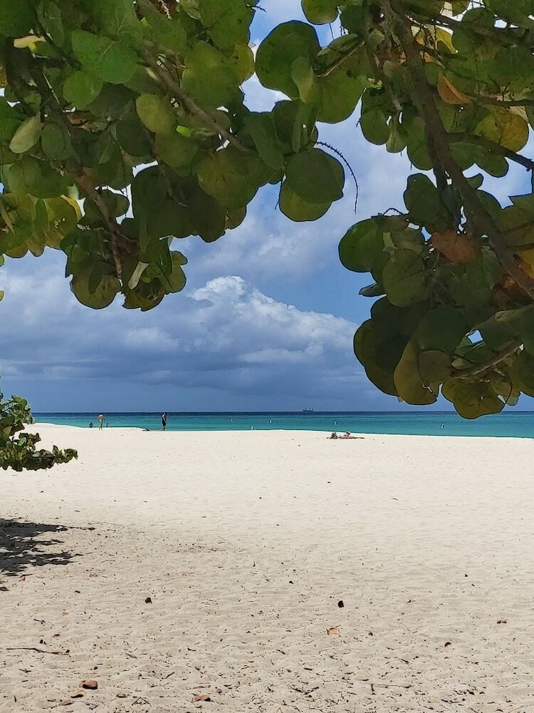 Фото Sasaki Apartments