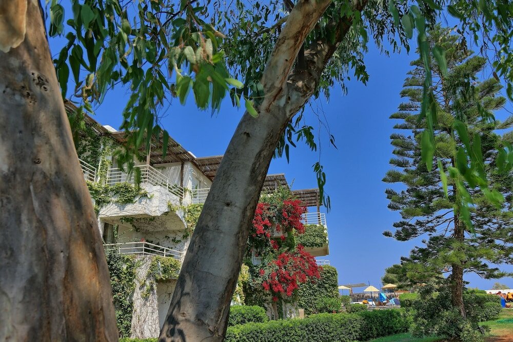 Фото Apollonia Beach Resort & SPA