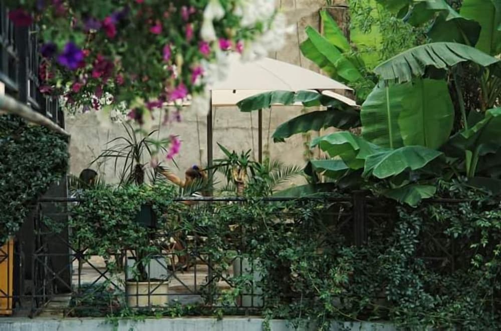 Фото Monte Carlo