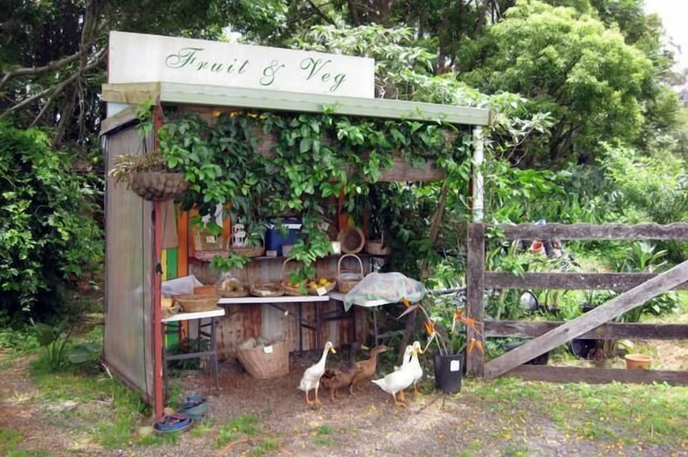 Фото Clouds on Beechmont