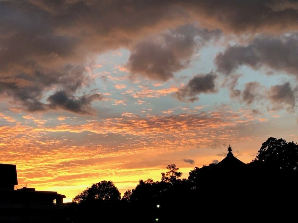 Фото Sarusawaike Yoshidaya