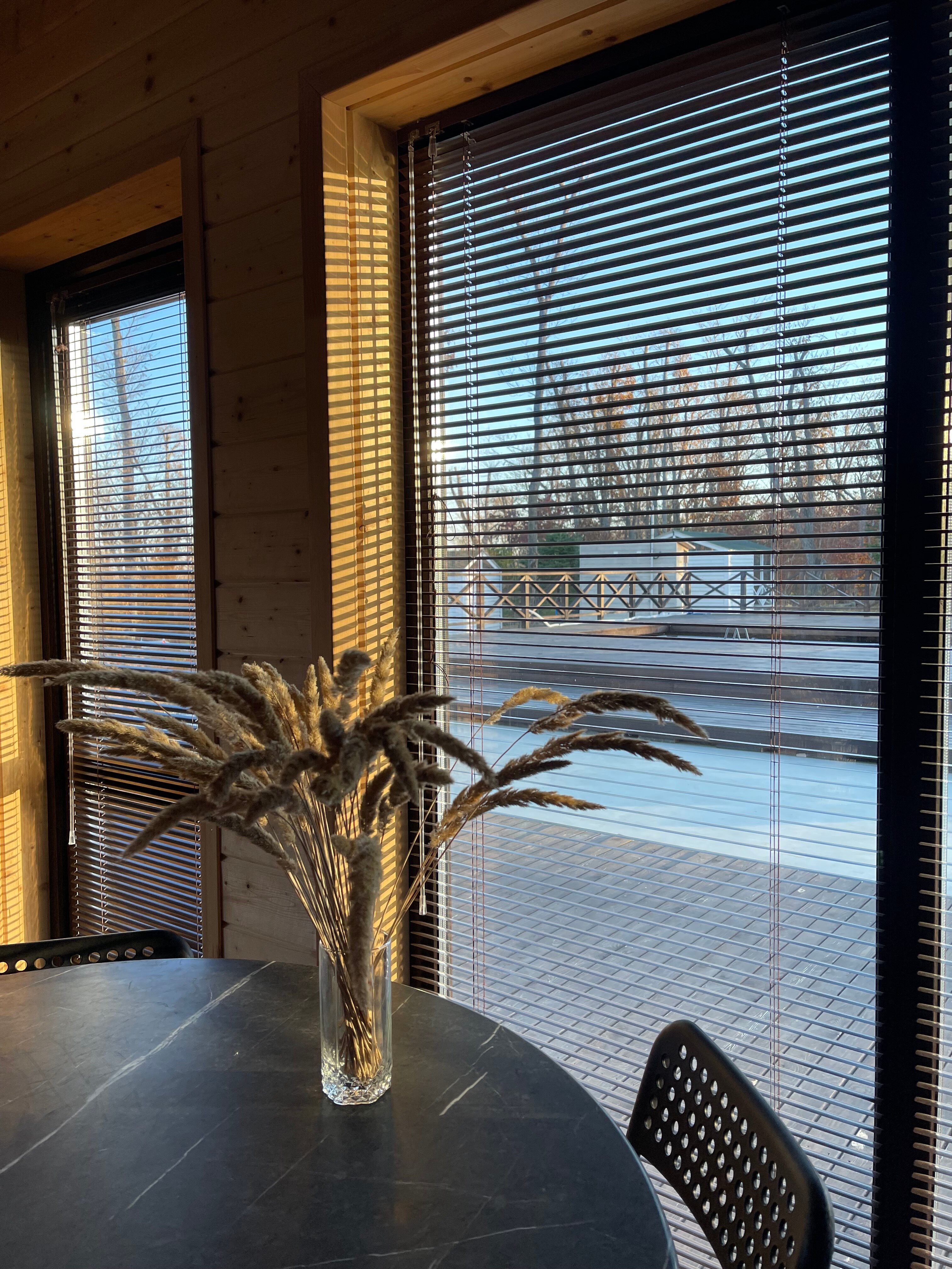 Фото Pine Family