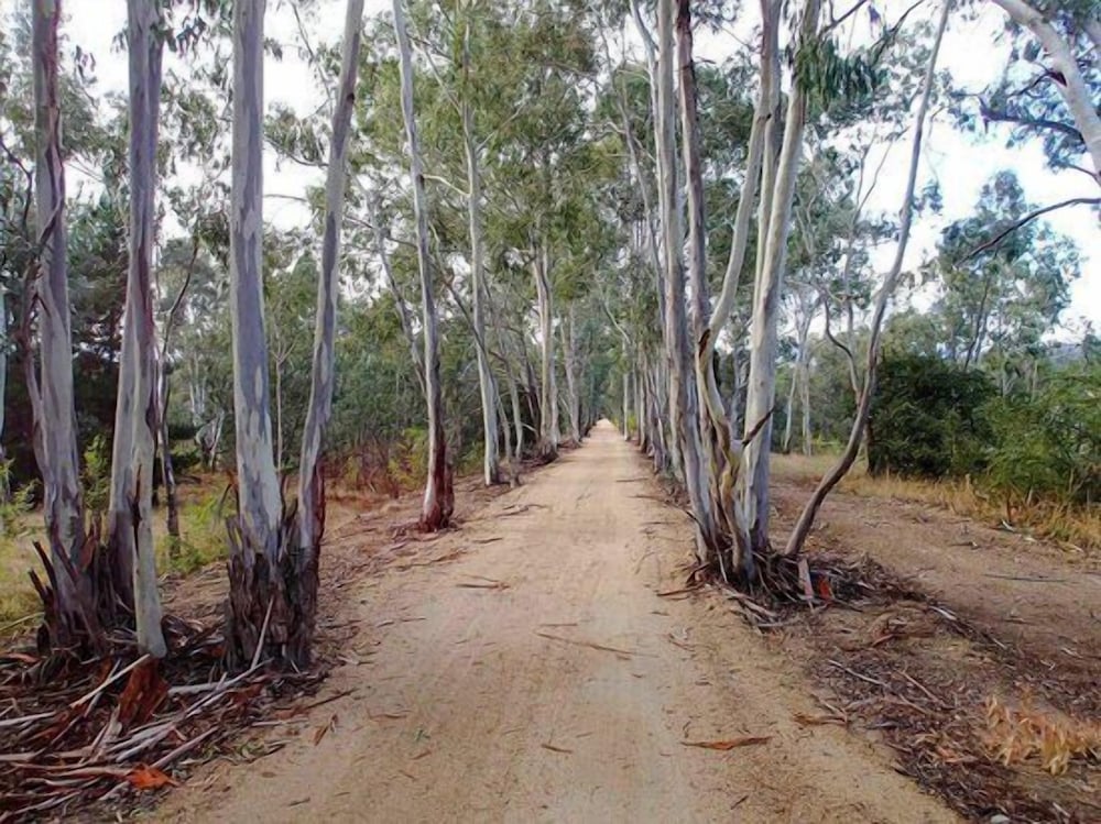 Фото Seymour Motel