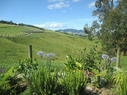 Гостиница Kauri Lodge Karapiro
