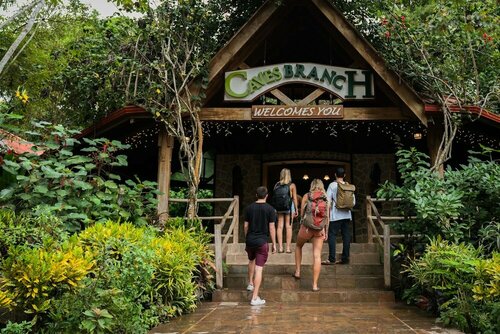 Гостиница Ian Anderson's Caves Branch Adventure Co в Кайо