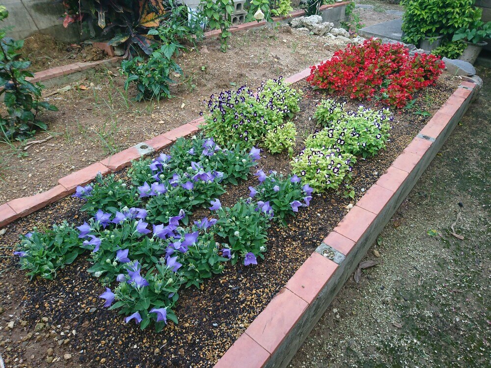 Фото Pension Minaminorakuen