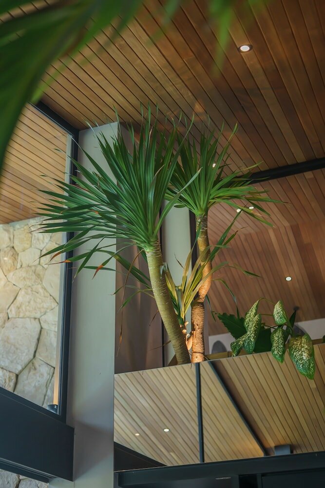 Фото Villa Cala Bona