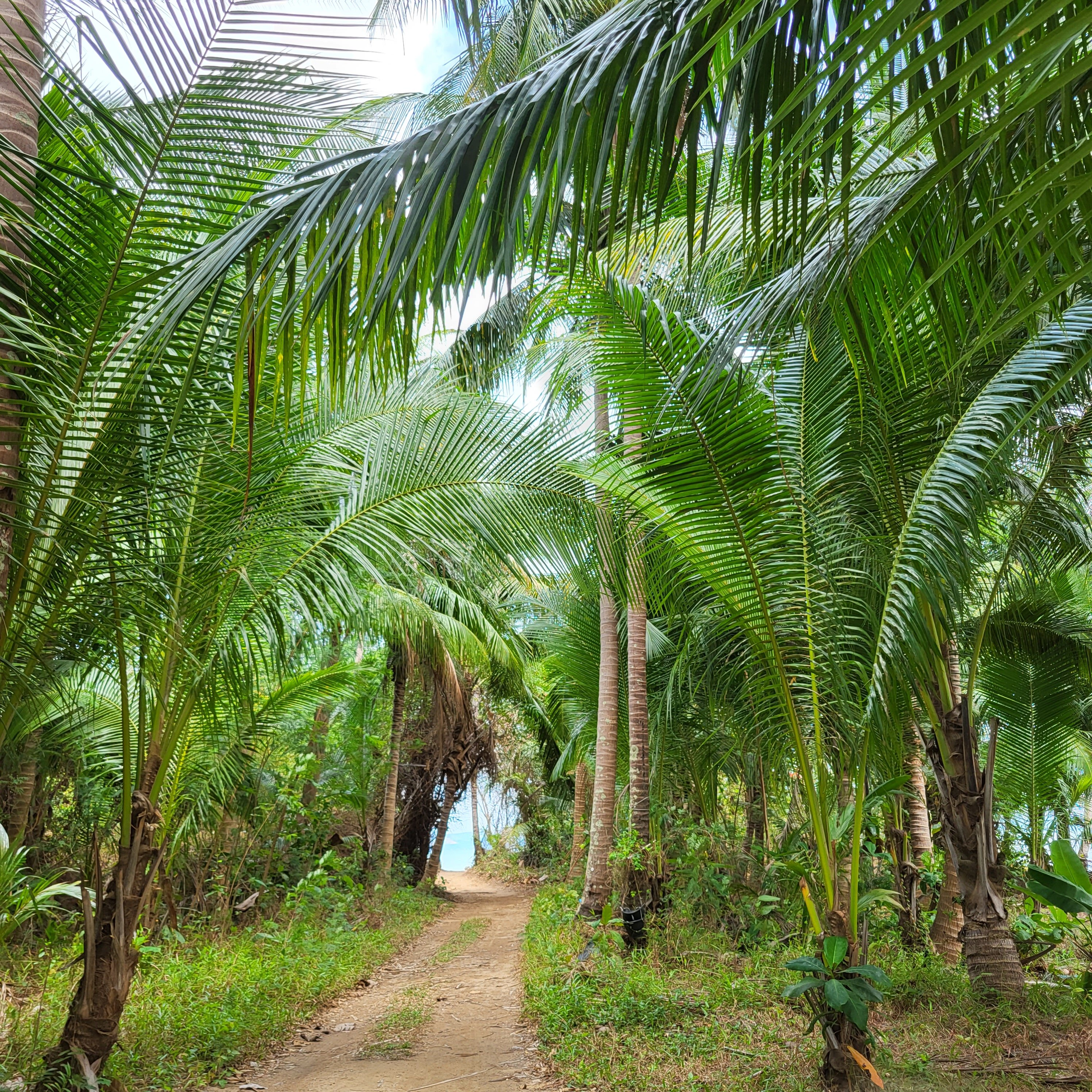Фото Marina Sands Resort