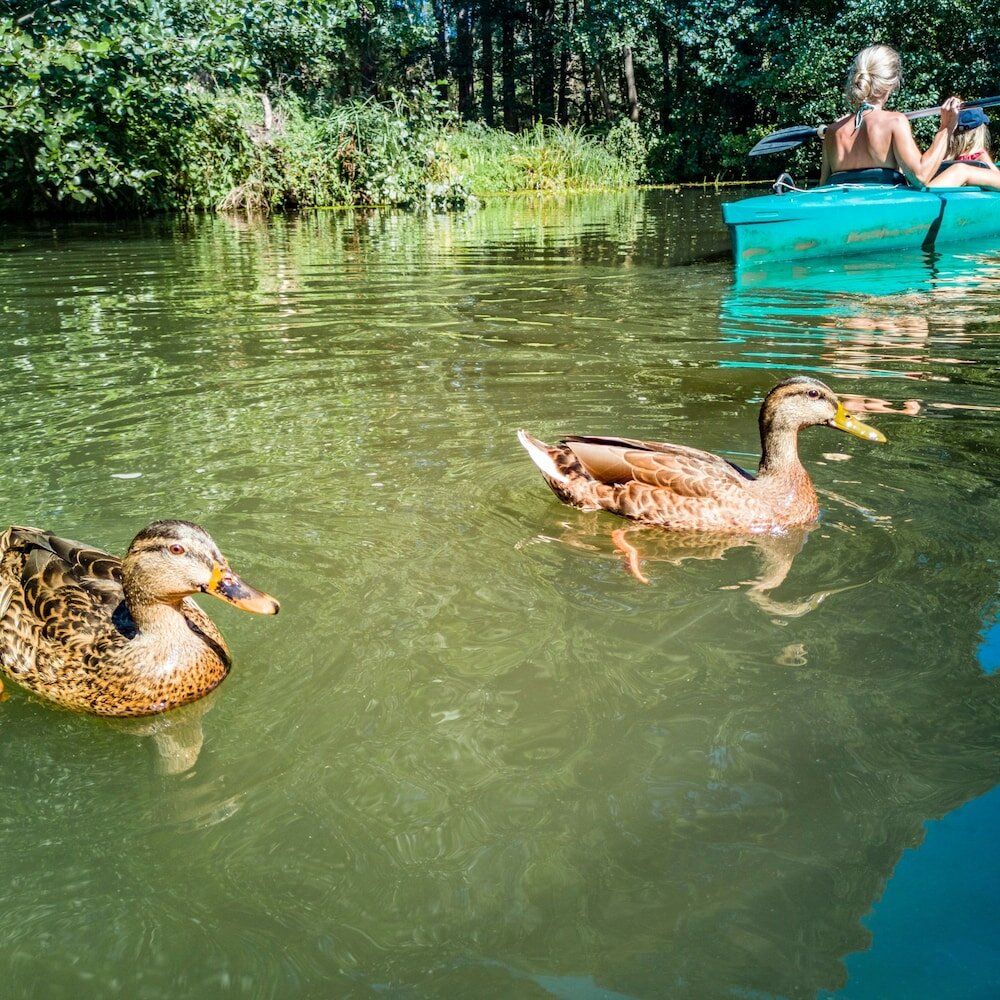 Фото Best Western Hotel Halle-Merseburg