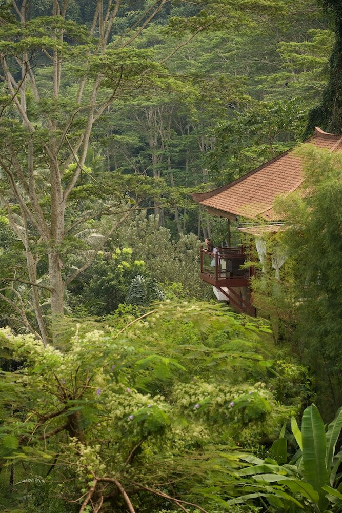 Фото Kupu Kupu Barong Villas and Tree SPA by L'Occitane