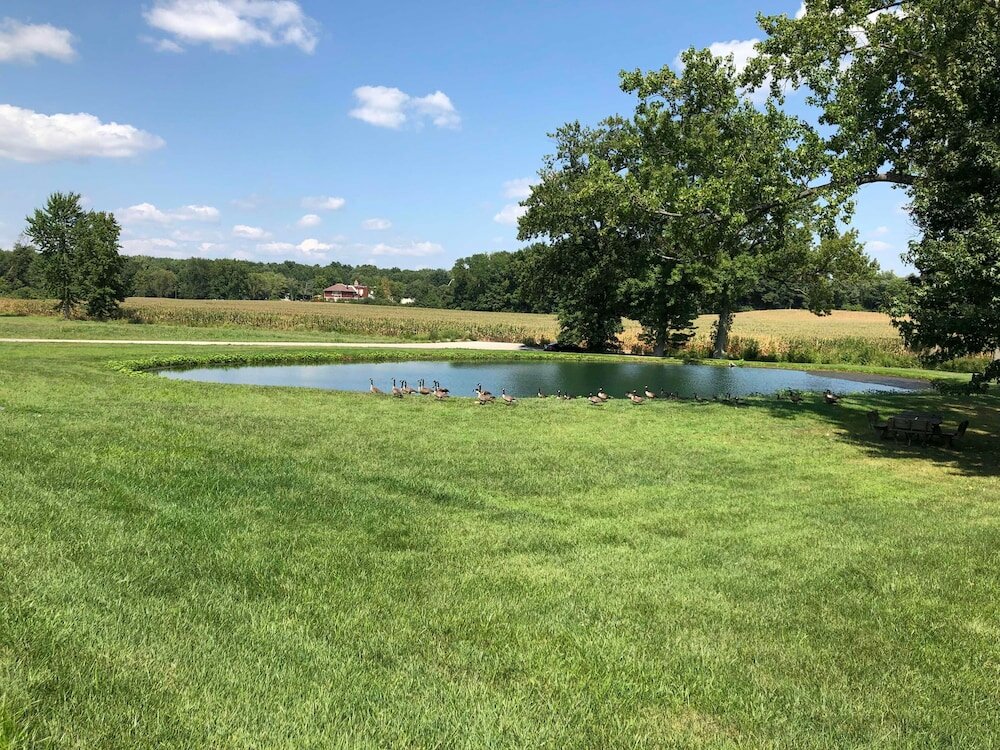 Фото Baymont by Wyndham Washington